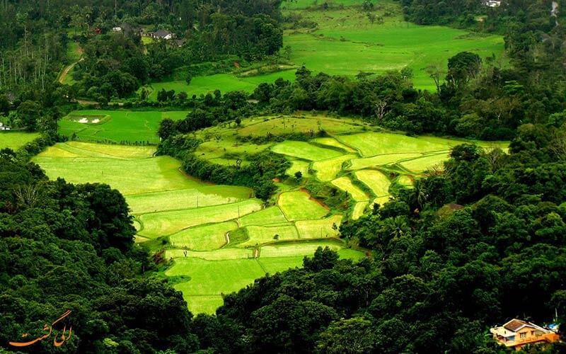 کورگ، کارناتاکا کورگ، کارناتاکا