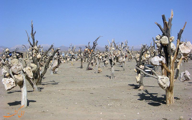 باغ سنگی باغ سنگی