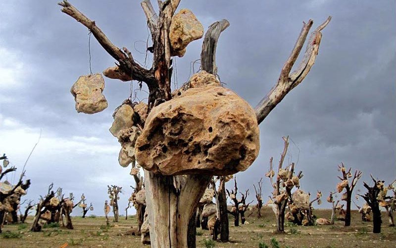 باغ سنگی کرمان باغ سنگی کرمان