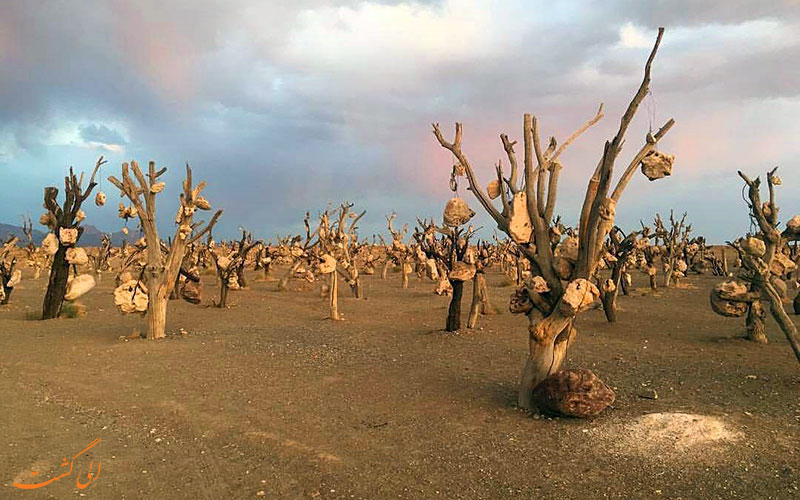 باغ سنگی سیرجان کرمان