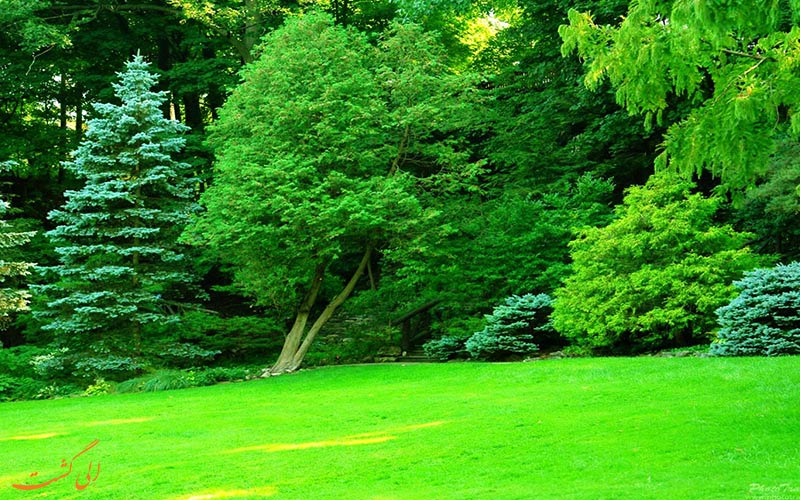 طبیعت گرگان طبیعت گرگان