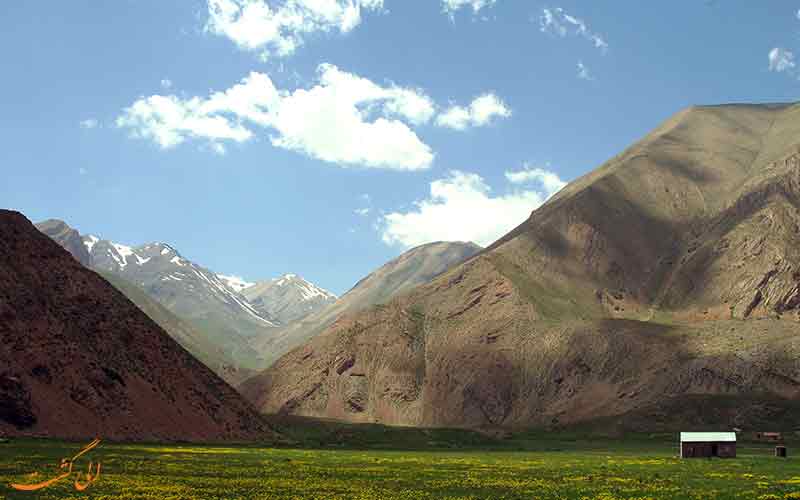 گرگان گرگان