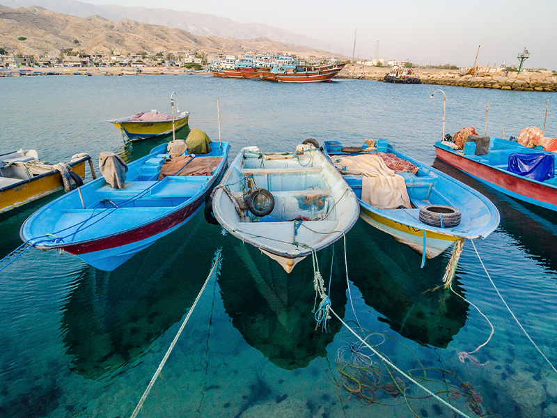 سفر به بوشهر - الی گشت