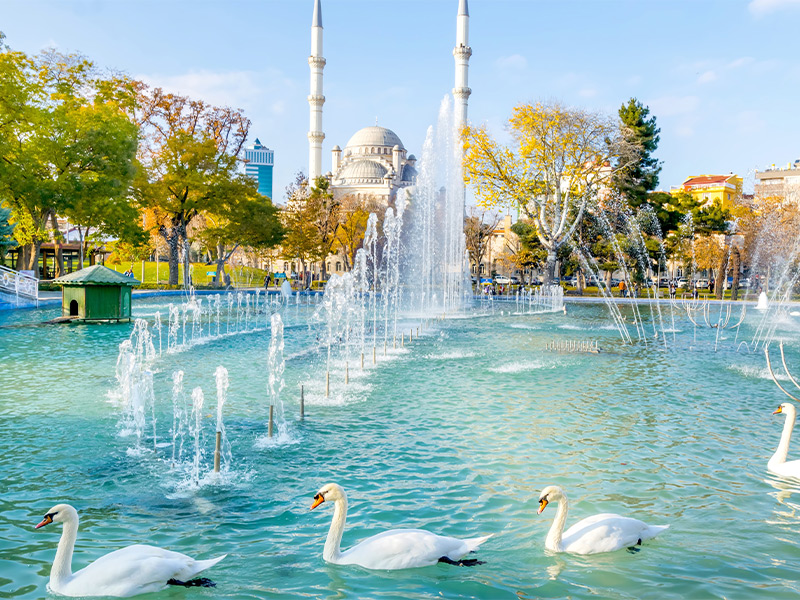 دلایل سفر به شهر قونیه
