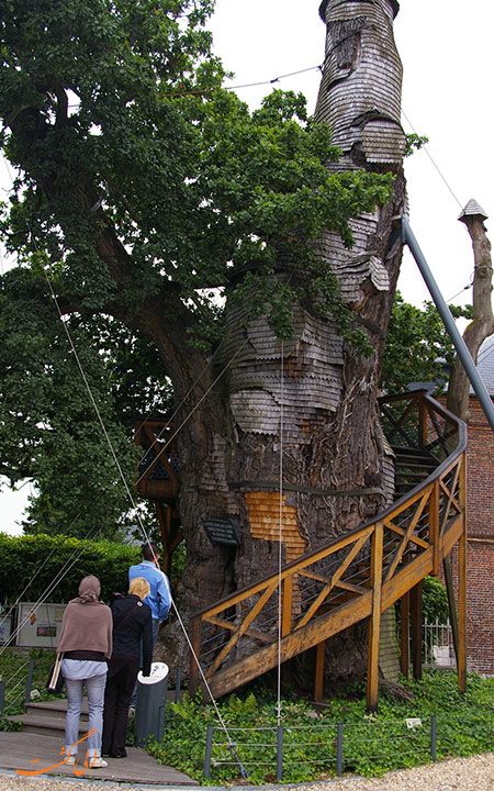 کلیسای درختی شن پال
