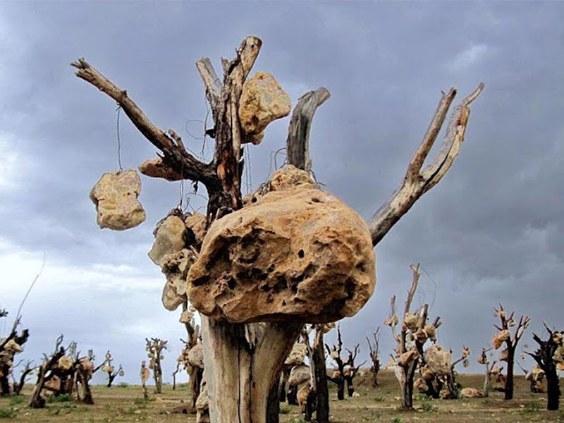 باغ سنگی سیرجان