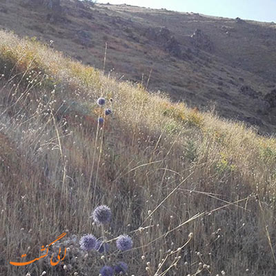 دره مرادبیگ