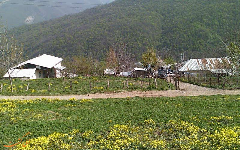 کوه های افراتخته کوه های افراتخته