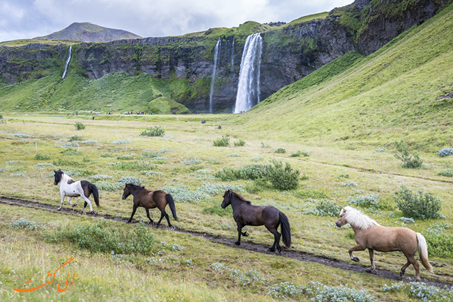 آبشار Seljalandsfoss در ایسلند