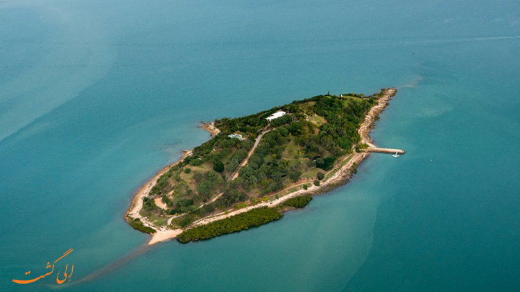 جزیره لاک پشتی