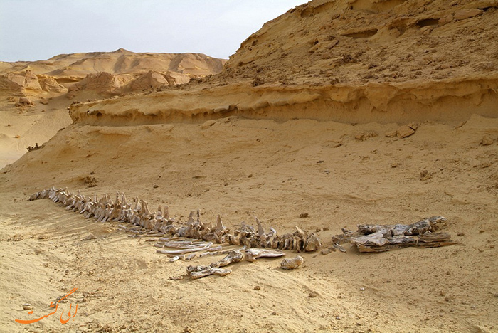 قبرستان وال ها در مصر