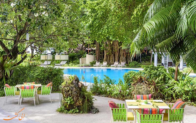 هتل شرایتون فول مون مالدیو | کافه