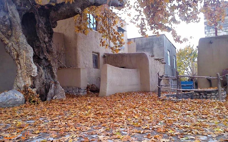 تاریخ روستا تاریخ روستا