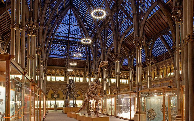 موزه تاریخ طبیعی دانشگاه آکسفورد