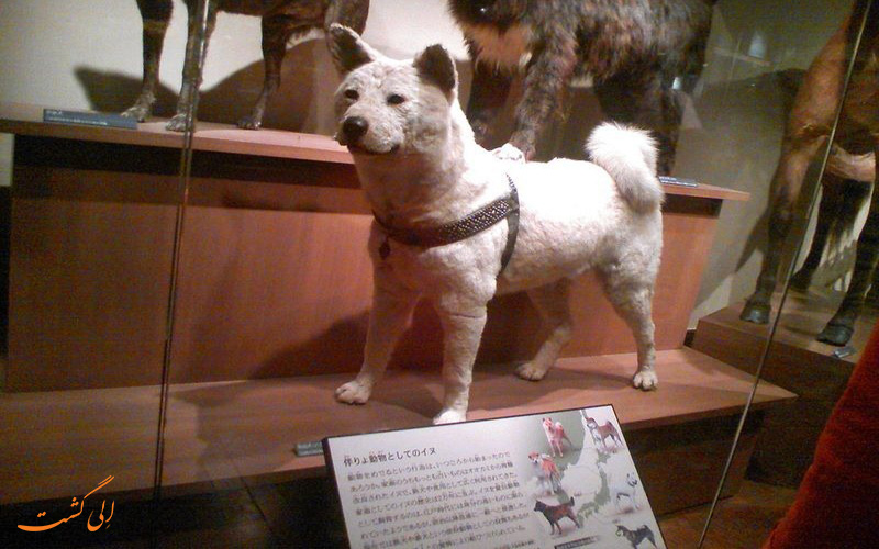 موزه علم و طبیعت توکیو