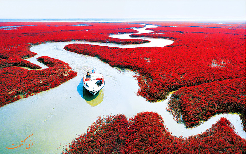 ساحل دریای قرمز در چین