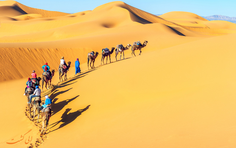 شتر سواری در مراکش