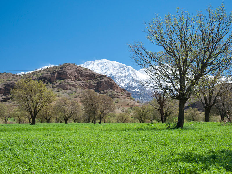 یاسوج