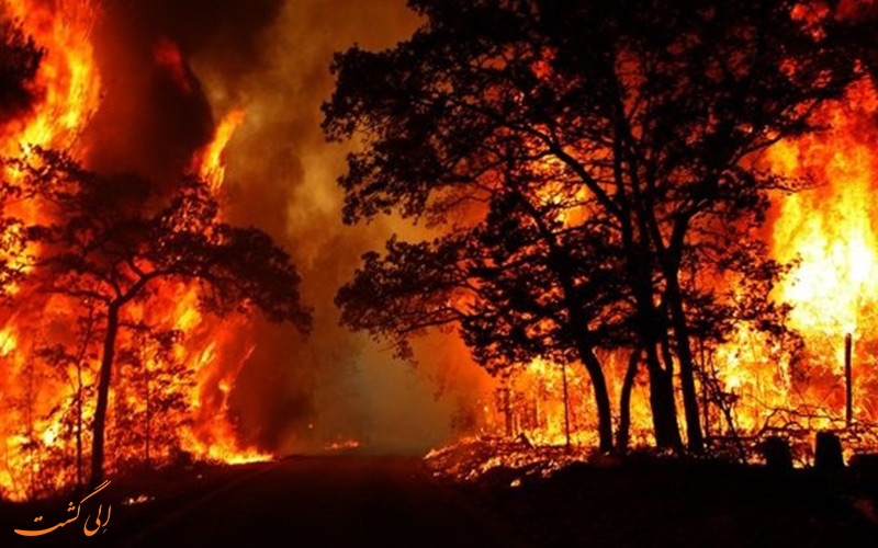 آتش سوزی شبانه در گیلان