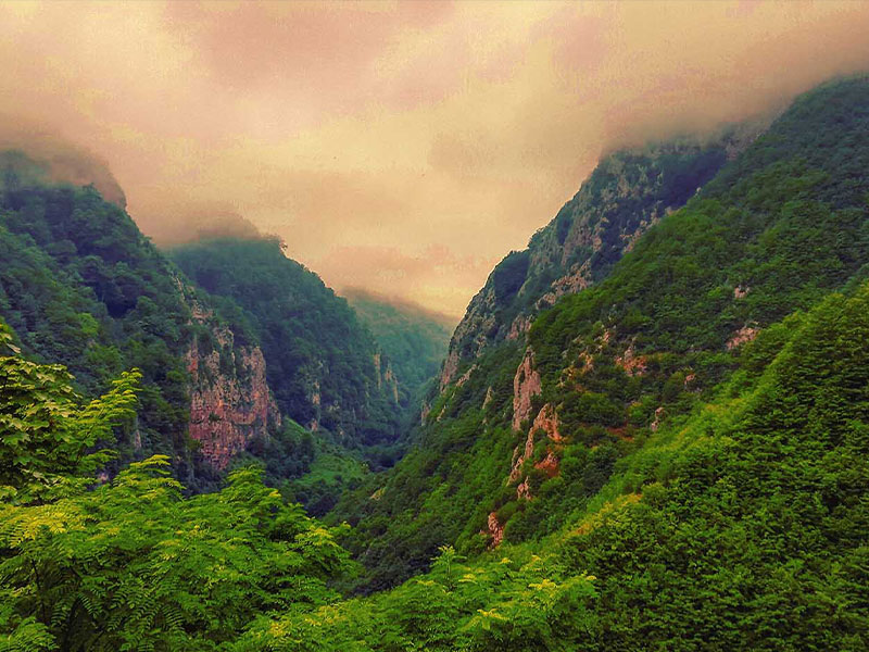 جنگل دوهزار در سفرهای جاده ای در ایران