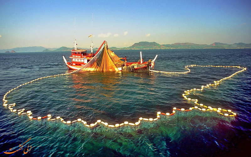 خلیج فانگ نگا