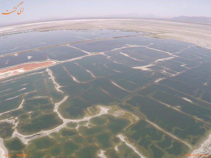 تالاب میقان اراک - الی گشت