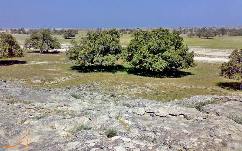 لاوان