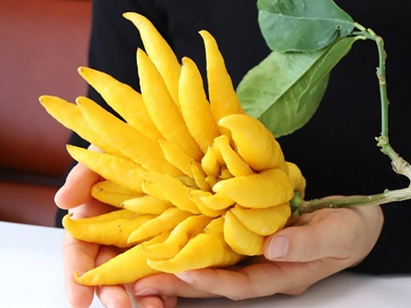 میوه های عجیب