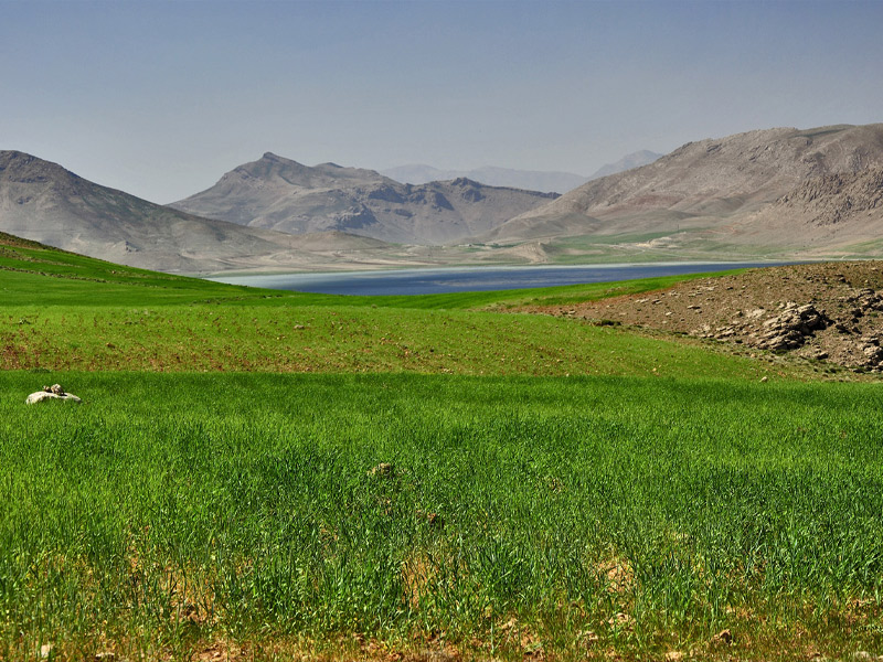 تالاب چغاخور