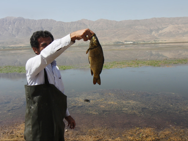 تالاب چغاخور