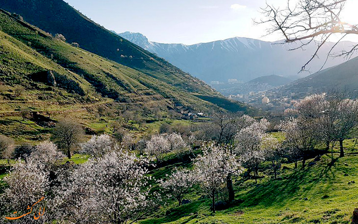 شهرستان پاوه شهرستان پاوه