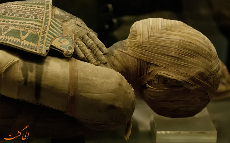 مومیایی مصری