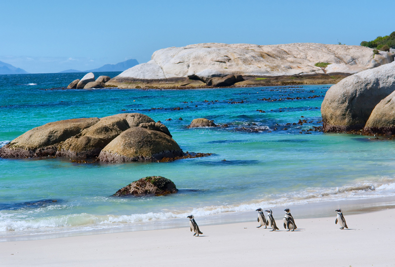 ساحل بولدرز