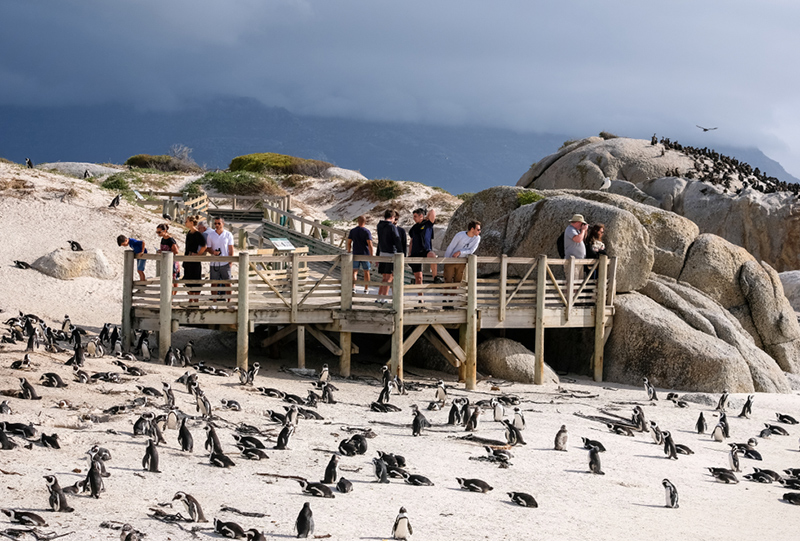 ساحل بولدرز