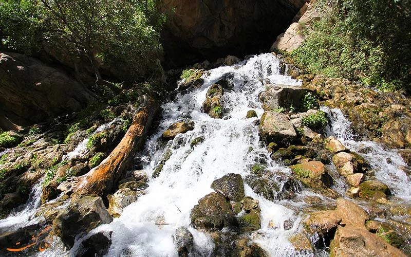 نیم روز نیم روز