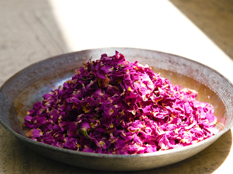 تاریخچه مراسم گلاب گیری کاشان - الی گشت