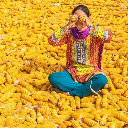 امنیت سفر