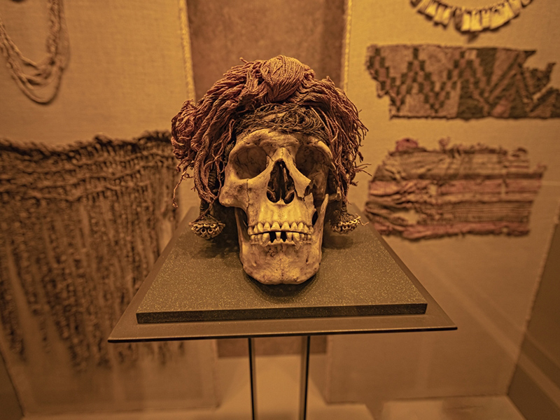 عجیب ترین موزه های مکزیک