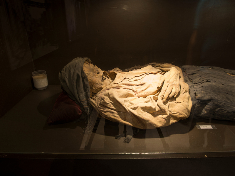 عجیب ترین موزه های مکزیک