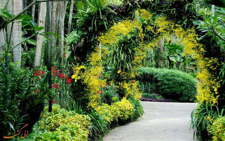 باغ گیاه شناسی سنگاپور