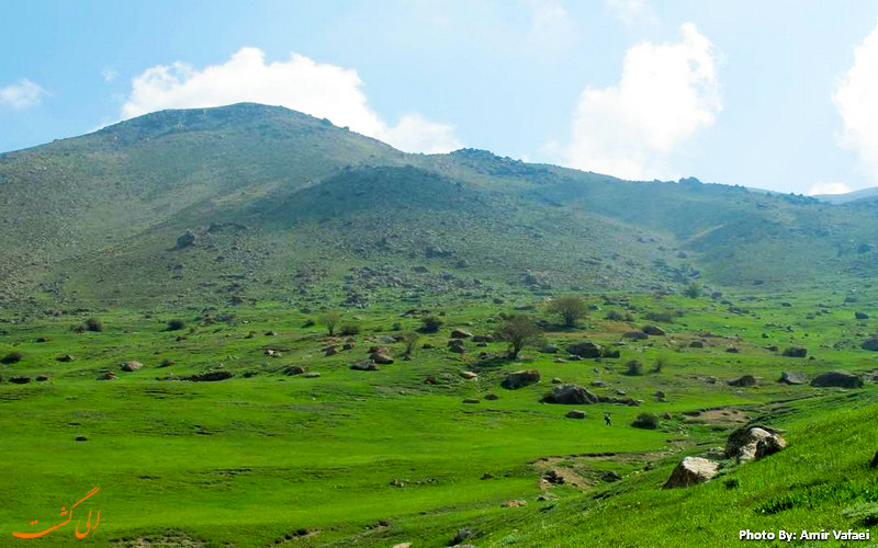 دشت سرسبز آزو دشت سرسبز آزو - عکس از امیرعباس وفائی