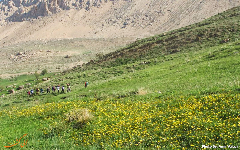 دورنمای قله دماوند دشت آزو - عروس دشت های ایران