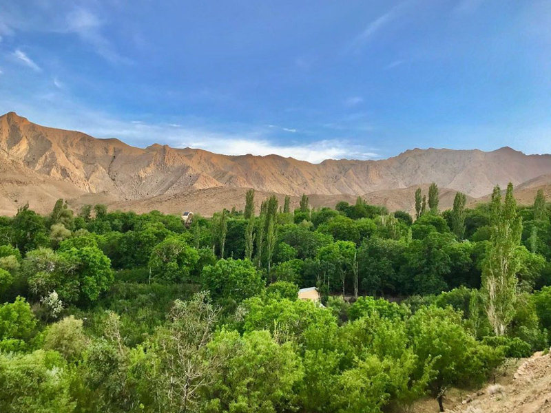 دیدنی های شهمیرزاد - الی گشت