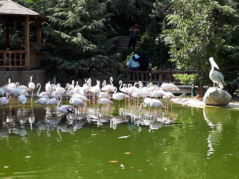 باغ پرندگان تهران