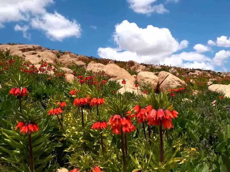آبشار برنجه شول آباد