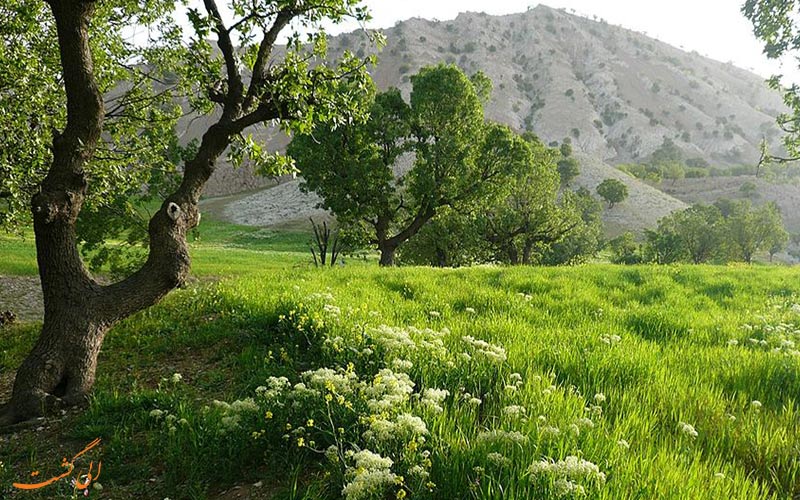 جاذبه های آبدانان جاذبه های آبدانان