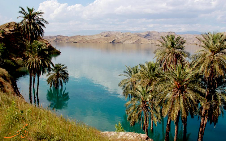 درختان نخل در دریاچه دزفول