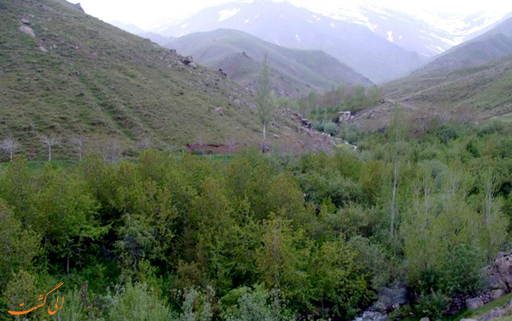 بقراطی بقراطی