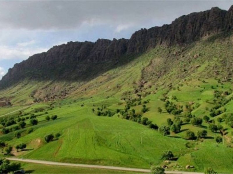 پارک جنگلی شورآب