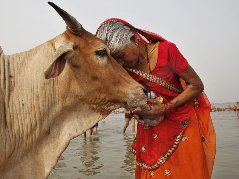 کارهای ممنوع در هند